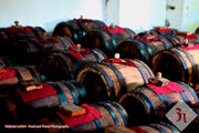 DO YOU KNOW HOW THE ACETO BALSAMICO TRADIZIONALE IS PRODUCED?